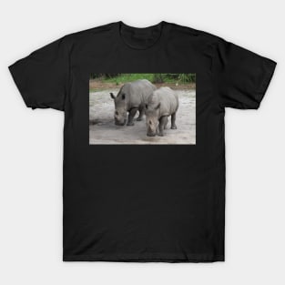 Beautiful Pair of White Rhinos T-Shirt